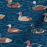 Ducks