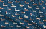 Ducks