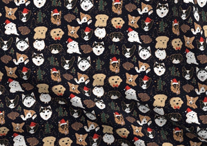 Jolly Dogs