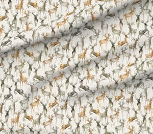 Deer