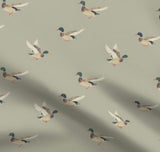 Mallard Ducks