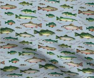 Go fish on blue