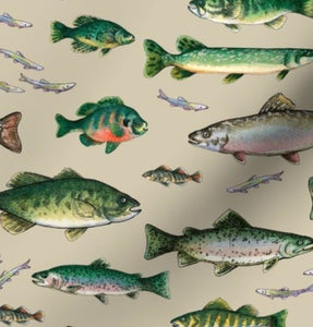 Go Fish