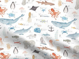 Alphabet Ocean