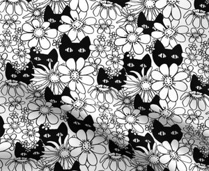 Black Cats & Daisies