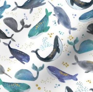 Whales and Narwhals